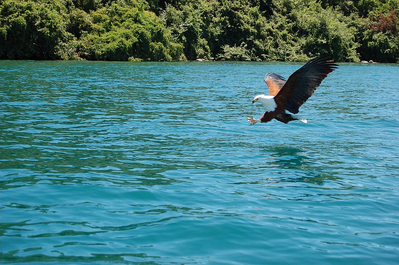 Lake Malawi