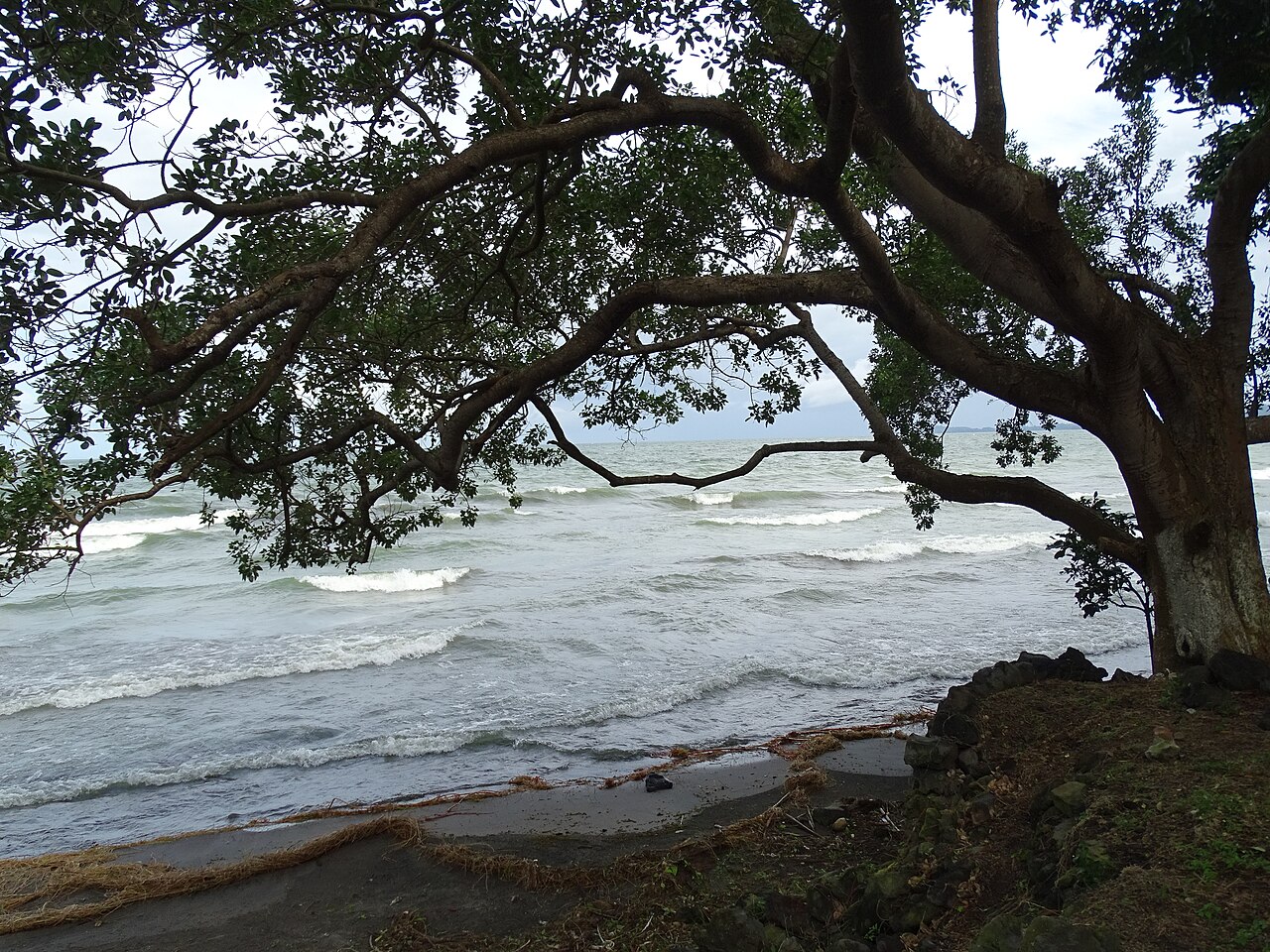 Lake Nicaragua