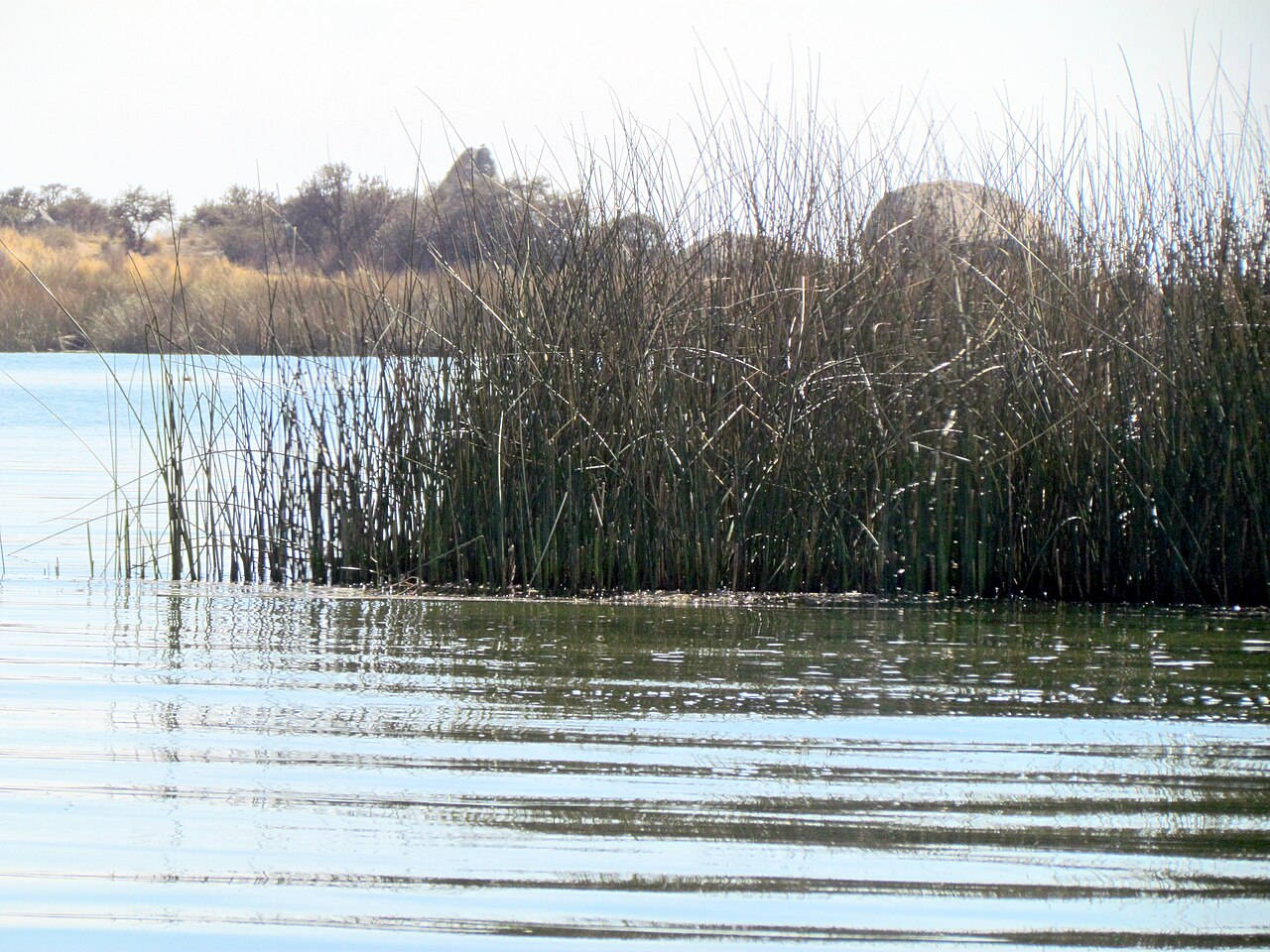 Lake Titicaca