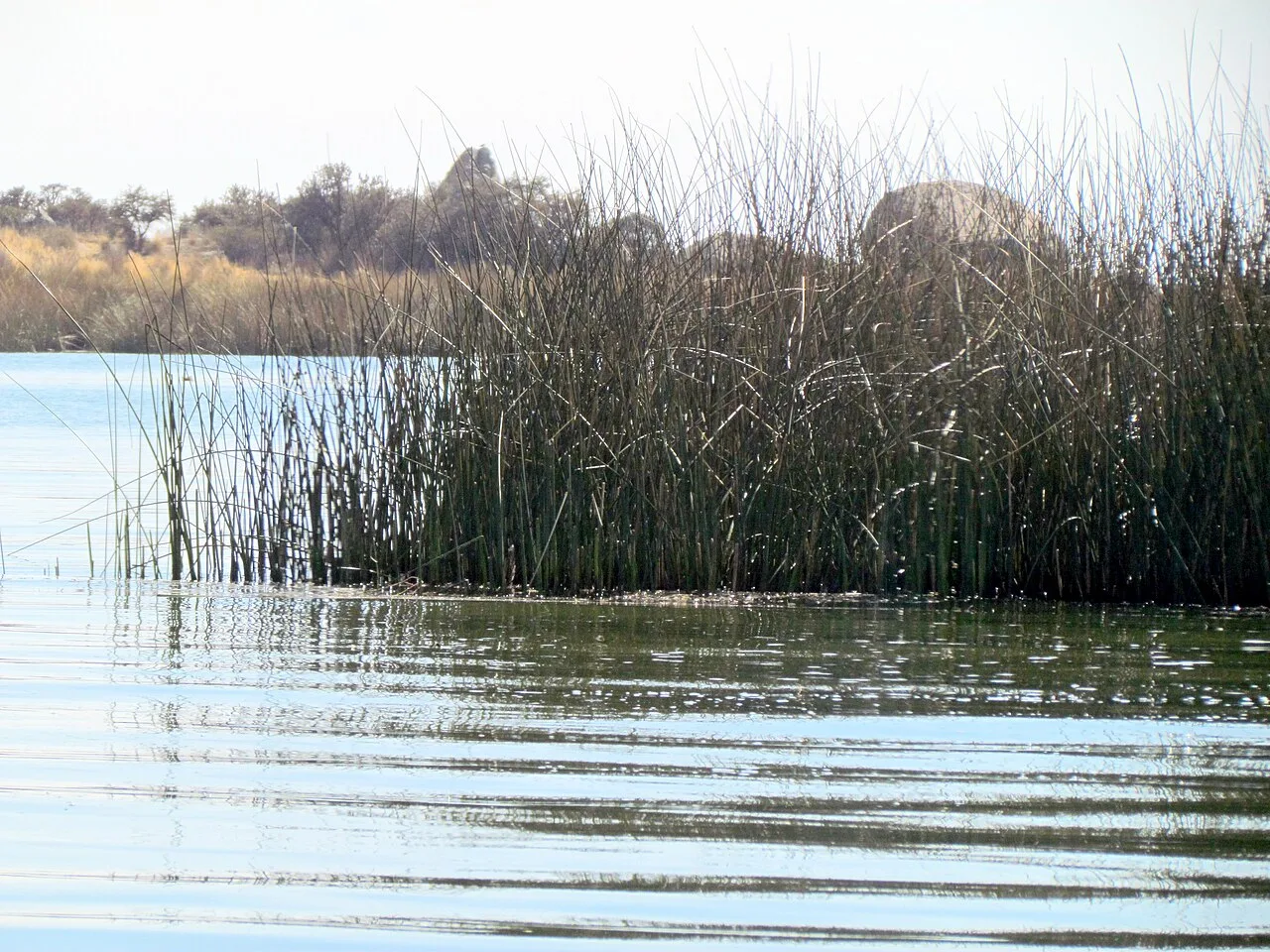 Lake Titicaca