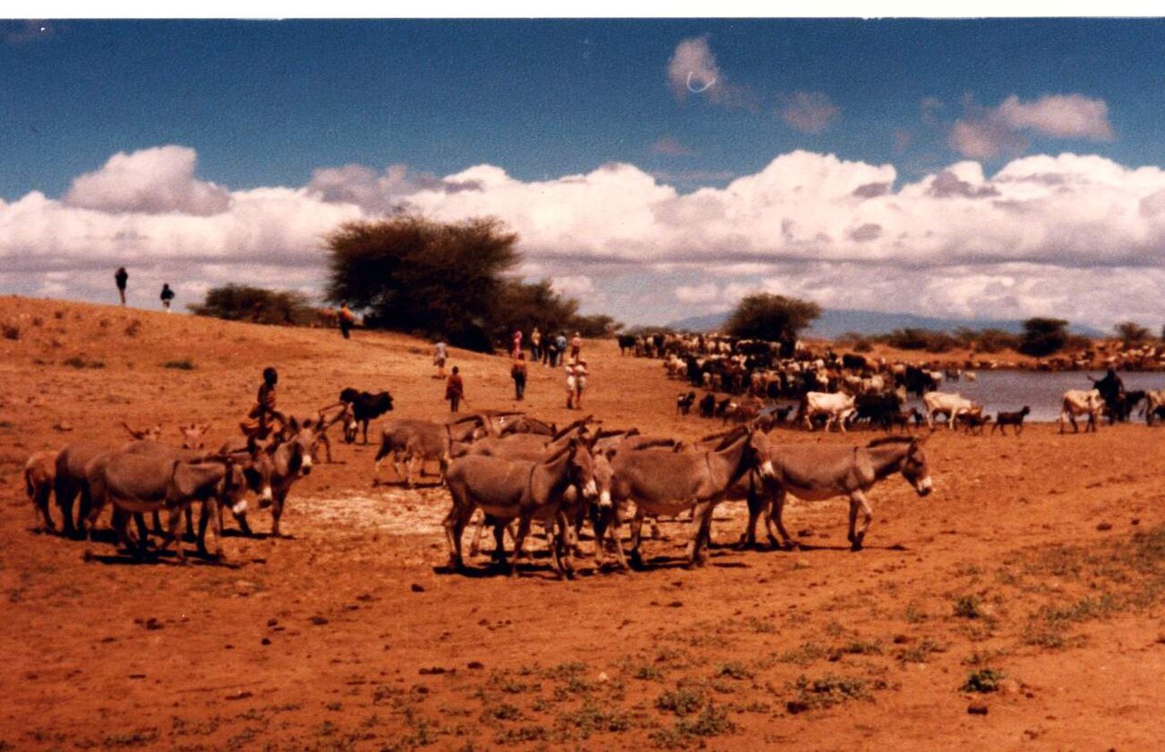 Lake Turkana